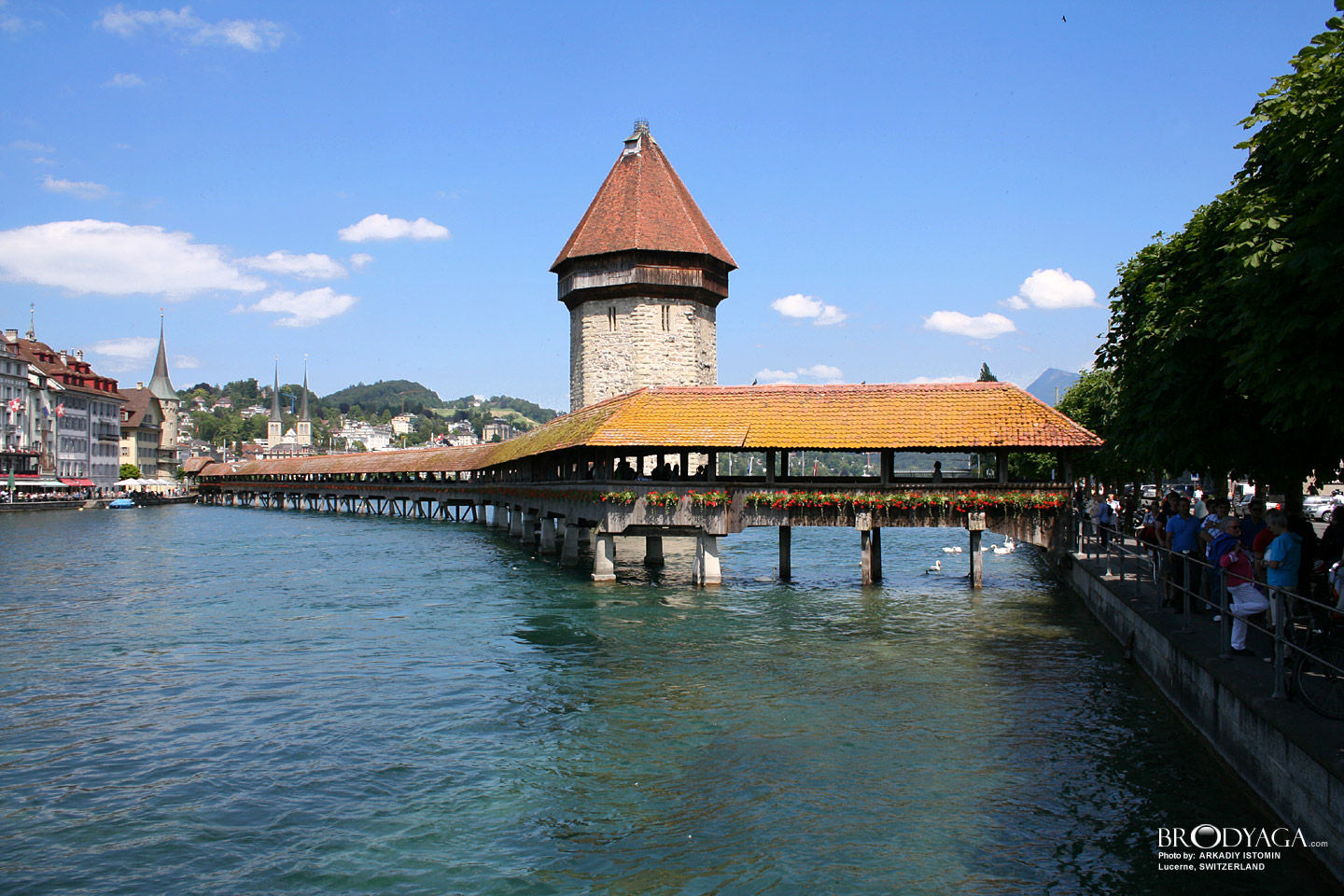 Lucerne